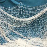 С 1 января 2020 года вступили в силу ограничения на оборот и применение жаберных сетей для любительского рыболовства