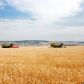 Минтрудом России утверждены правила по охране труда в сельском хозяйстве