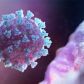 Рекомендации по профилактике новой коронавирусной инфекции в организациях