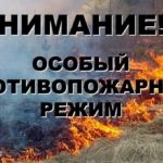 Постановление об установлении особого противопожарного режима на территории Томской области