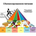Лекция по теме «Рациональное питание и физическая активность»