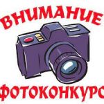 Жителей Томской области приглашают принять участие в фотоконкурсе «Царица сибирских ягод»