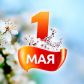 Уважаемые жители Молчановского района!  Примите самые тёплые и искренние поздравления с 1 мая –  Праздником Весны и Труда!