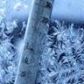 На основании штормового предупреждения от Томского ЦГМС - филиала ФГБУ «Западно - Сибирское УГМС» от 29 января 2019 г.:  31.01-04.01.19 по области местами сильные морозы: температура ночью -35…-40°С.