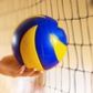 Турнир по волейболу на Кубок главы Молчановского района пройдет в декабре